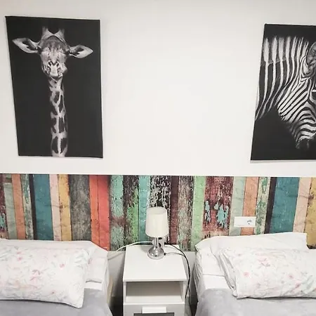 Www Goyahospitales Es León